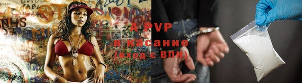 шишки Няндома