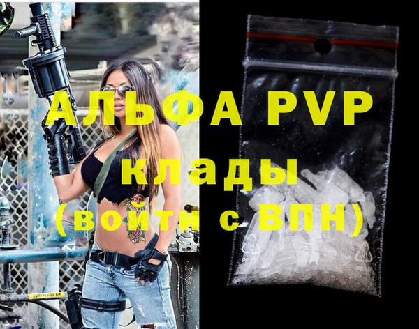 гашик Абаза