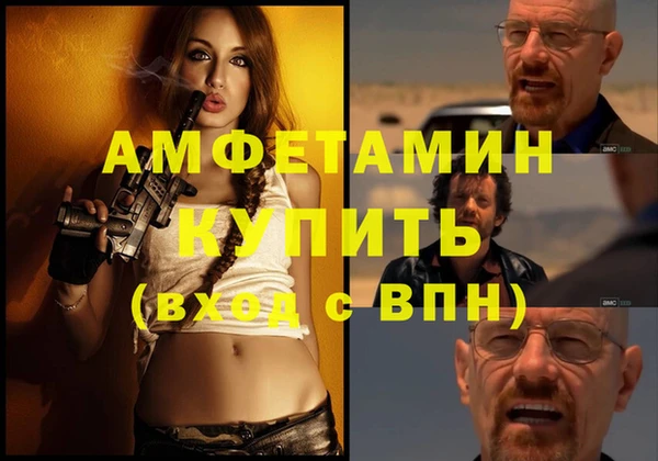 шишки Няндома
