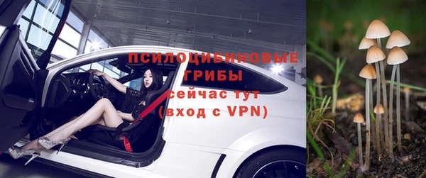 хмурый Алексеевка