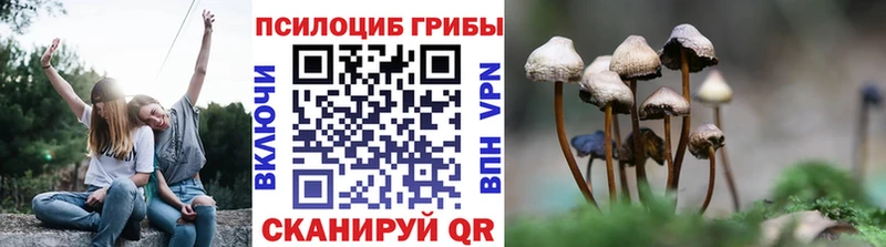Псилоцибиновые грибы прущие грибы  Уржум 